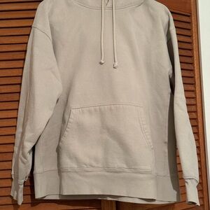 Aritzia Sage Hoodie
